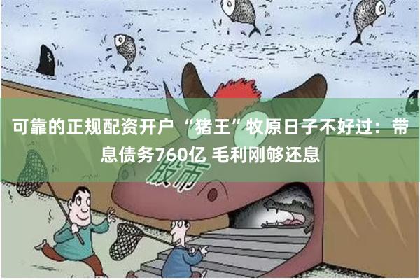 可靠的正规配资开户 “猪王”牧原日子不好过:带息债务760亿 毛利刚够还息
