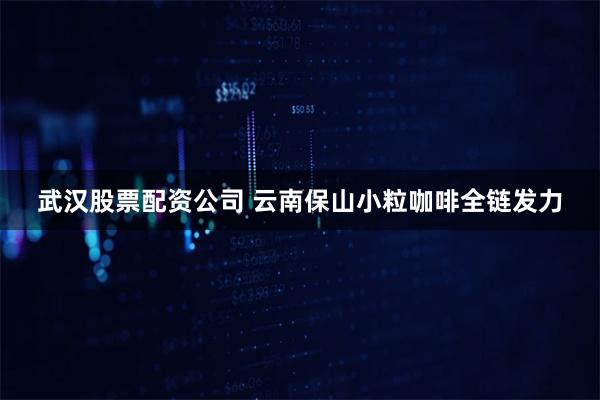 武汉股票配资公司 云南保山小粒咖啡全链发力
