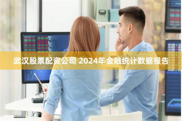 武汉股票配资公司 2024年金融统计数据报告