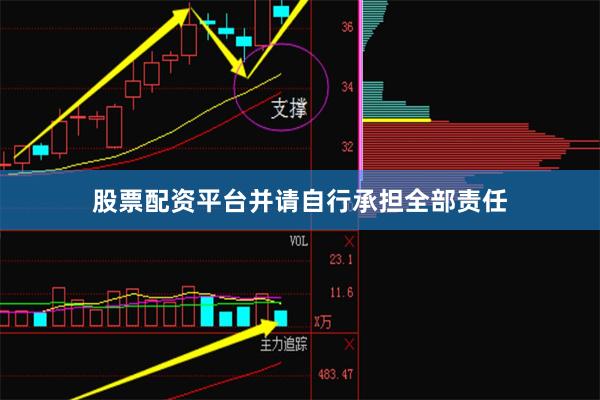 股票配资平台并请自行承担全部责任