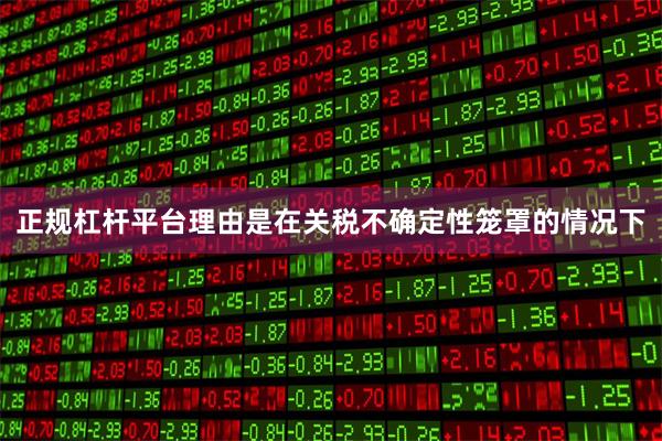 正规杠杆平台理由是在关税不确定性笼罩的情况下