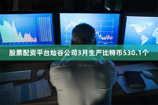 股票配资平台灿谷公司3月生产比特币530.1个